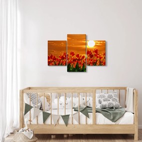 Obraz rozkvitnutého lánu s tulipánmi (90x60 cm)