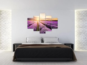 Obraz - Východ slnka v levanduľovom poli (150x105 cm)