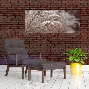 Obraz rastlín (120x50 cm)