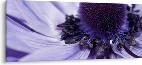 Obraz - Fialový kvet (120x50 cm)