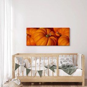 Obraz - Veľké tekvice (120x50 cm)