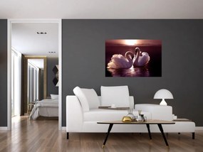 Obraz - Labute na jazere (90x60 cm)