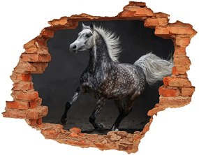 Diera 3D fototapeta nálepka Gray arabský kôň nd-c-49747605