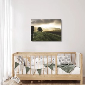 Sklenený obraz lúky (70x50 cm)