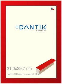 DANTIK rám na obraz 21x29,7 | PASTELKA červená rovná (Sklo Čiré)