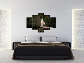 Obraz - Vytie vlka (150x105 cm)