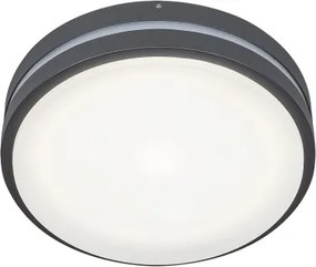 Rabalux 8847 - LED Vonkajšie nástenné svietidlo HAMBURG LED/10W/230V IP44