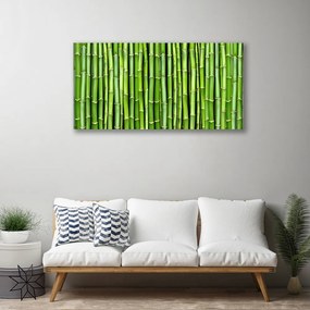 Obraz na plátne Bambus kvet rastlina 140x70 cm