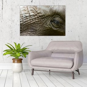 Obraz - Detailné fotografie starého slonieho oka (90x60 cm)