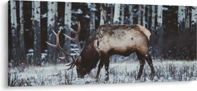 Obraz - jeleň v zime (120x50 cm)