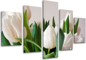 Obraz na stenu 5 dielny KVETY XOBKV108E50 - 100x80 cm