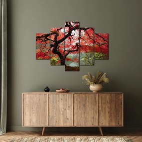Obraz červeného japonského javora, Portland, Oregon (150x105 cm)