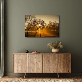 Obraz - Východ slnka (90x60 cm)