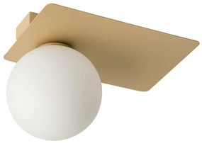 Stropné svietidlo ARGON 1xG9/12W/230V zlatá