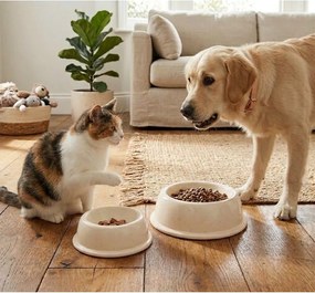 Kameninová miska pre domáceho miláčika ø 16 cm – Casafina