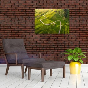Obraz - Náhorná lúka (70x50 cm)
