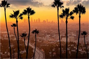 Obraz - Panorama Los Angeles (90x60 cm)