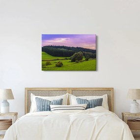 Obraz lúky (90x60 cm)