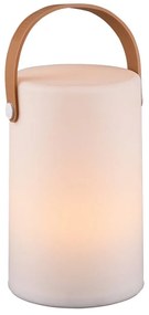 LED solárne vonkajšie svietidlo na diaľkové ovládanie (výška 21 cm) Aruba – Trio