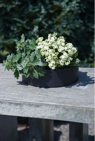 Miska na dekorácie CIRCULO, sklolaminát, Ø 30 cm, antracit