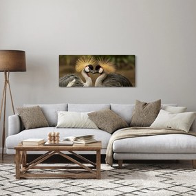 Obraz vtákov (120x50 cm)