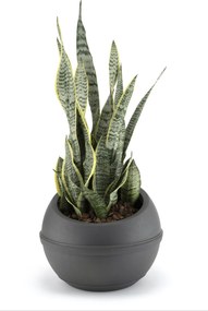 BAMA Kvetináč SFERA 23 l Barva: Antracite