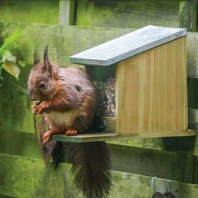 Kŕmidlo pre veveričky Ema, 19x12,5x25,5 cm, drevo/kov, hnedá