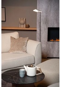 Lucide 19730/10/30 - LED Stmievateľná stojacia lampa AARON LED/12W/230V čierna