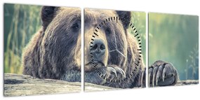 Obraz medveďa (s hodinami) (90x30 cm)