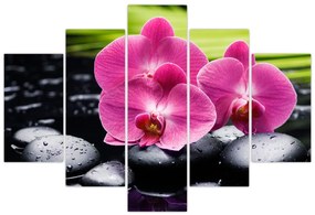 Obraz - Ružové orchidey s palmovým listom (150x105 cm)
