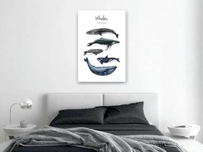 Artgeist Obraz - Whales (1 Part) Vertical Veľkosť: 80x120, Verzia: Premium Print