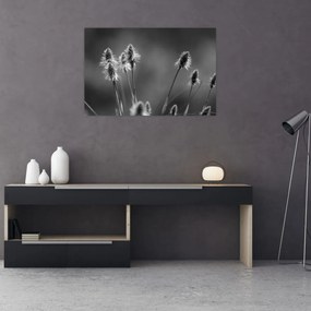 Obraz - Béžová soft grass N⁰2 (90x60 cm)