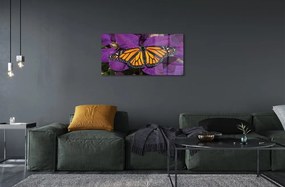 Sklenený obraz Farebný motýľ kvety 120x60 cm