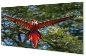 Nástenný panel  ara papagáj 100x50 cm