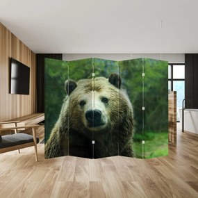 Paraván - Medveď (210x170 cm)