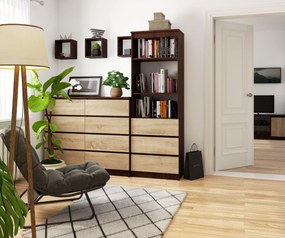 Regál Ravindra  (wenge + dub sonoma). Vlastná spoľahlivá doprava až k Vám domov. 1069809