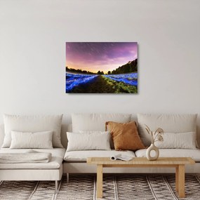 Sklenený obraz farebného poľa (70x50 cm)