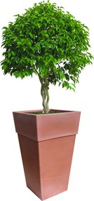 BAMA Kvetináč SENSATIONE 50 cm, hnedý