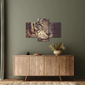 Obraz tigra (90x60 cm)