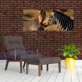 Obraz - Dve zebry (120x50 cm)