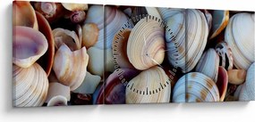 Obraz mušlí (s hodinami) (90x30 cm)