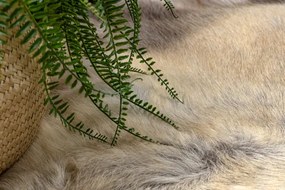 Koberec RENIFER POK012 sivý / béžový