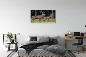 Obraz na plátne jeleň lesný 120x60 cm