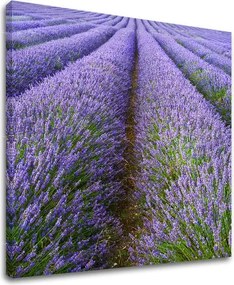 Obraz na stenu KRAJINA