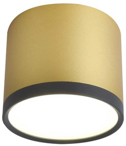 Candellux TUBE Luster LAMP 9W LED 8,8/7,5 BLACK+GOLDEN MAT 4000K 2275956