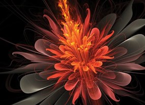 Manufakturer -  Tapeta 3D fiery flower