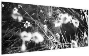 Obraz - Pavučina na lúke (120x50 cm)