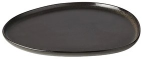 Raw Organics Titanium Black- Dinner plate