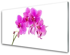 Sklenený obklad Do kuchyne Vstavač kvet orchidea 120x60 cm