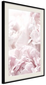 Artgeist Plagát - Fluffy Peonies [Poster] Veľkosť: 30x45, Verzia: Čierny rám s passe-partout